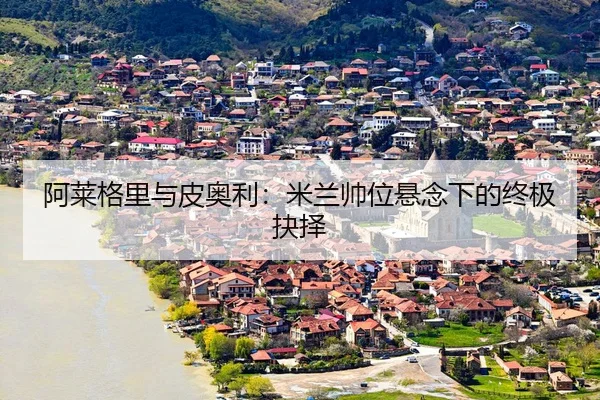 a-lai-ge-li-yu-pi-ao-li-mi-lan-shuai-wei-xuan-nian-xia-de-zhong-ji-jue-ze-3-102.jpg