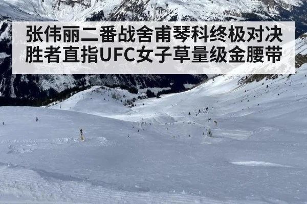 张伟丽二番战舍甫琴科终极对决胜者直指UFC女子草量级金腰带