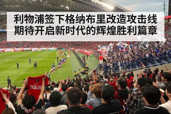 football stadium fans